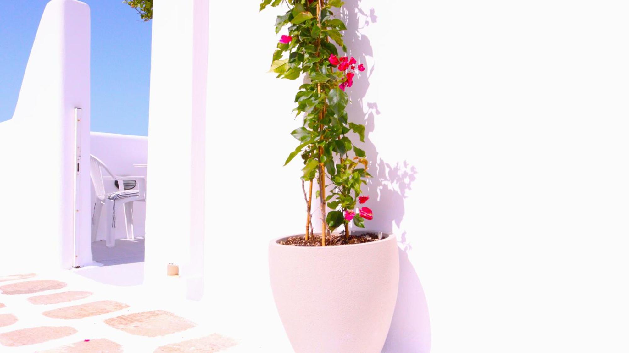Lemon Tree Maisonette - Naoussa Paros Exterior photo